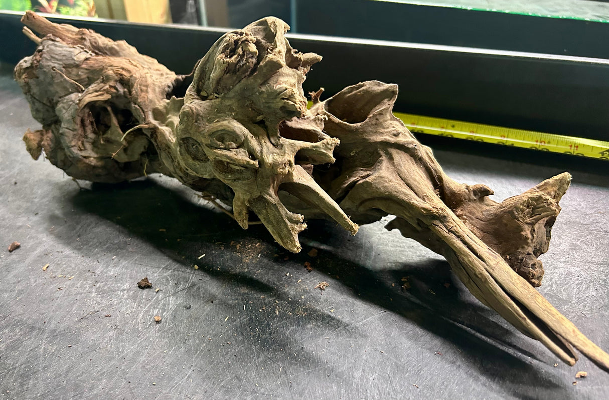 W.Y.S.I.W.Y.G.- 404 - Malaysian Mangrove Wood