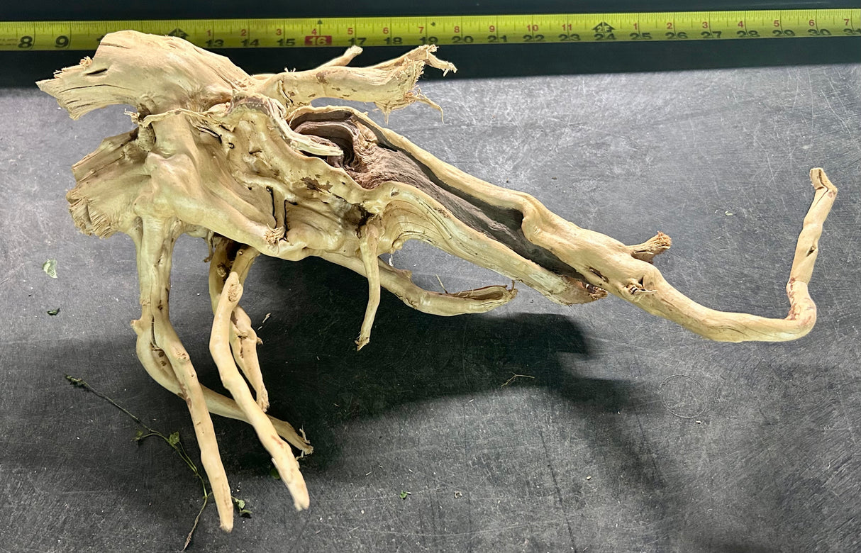 W.Y.S.I.W.Y.G.- 603 - Large Piece of Spiderwood