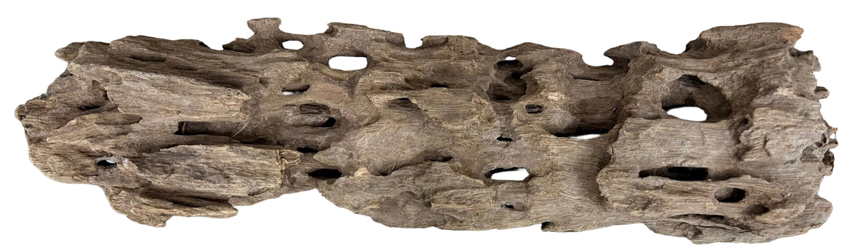 Texture / Shrimp Driftwood