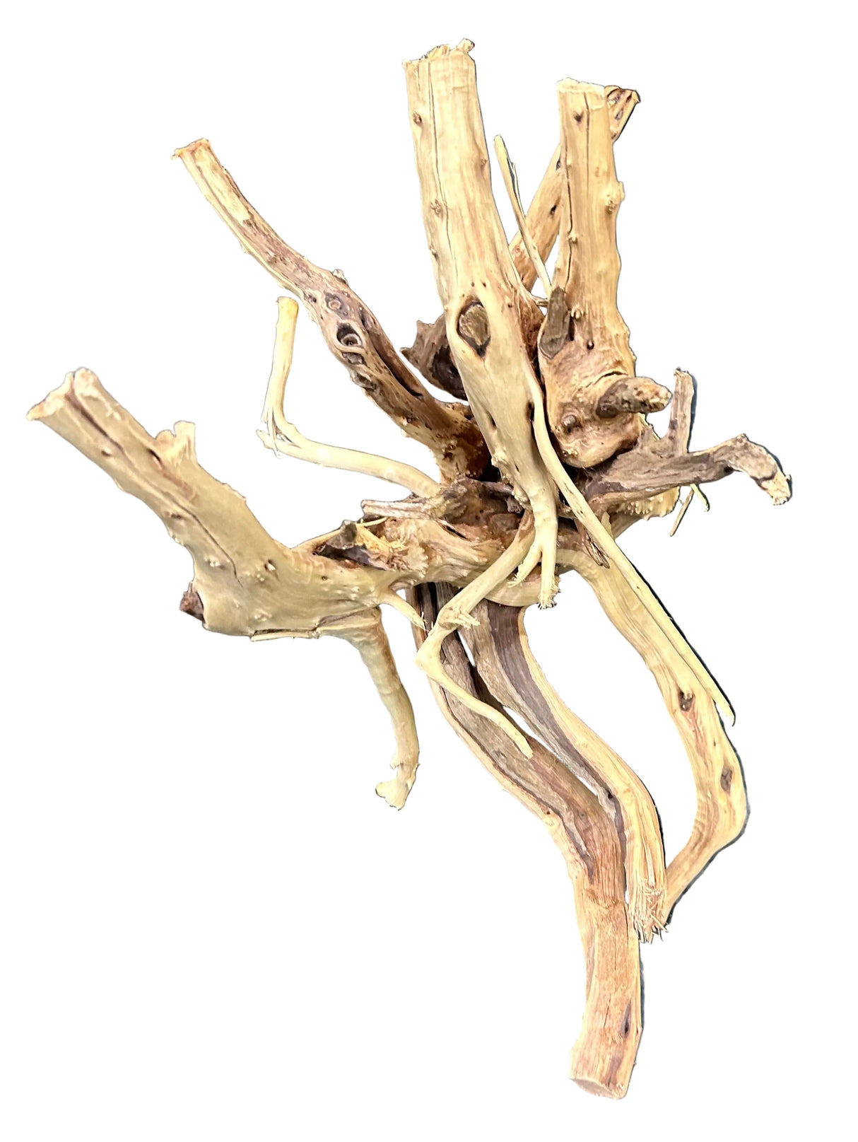 W.Y.S.I.W.Y.G.- 608 - Piece Spiderwood | Substrates & Hardscape | Largest Tropical Fish Selection at Your Local Fish Store