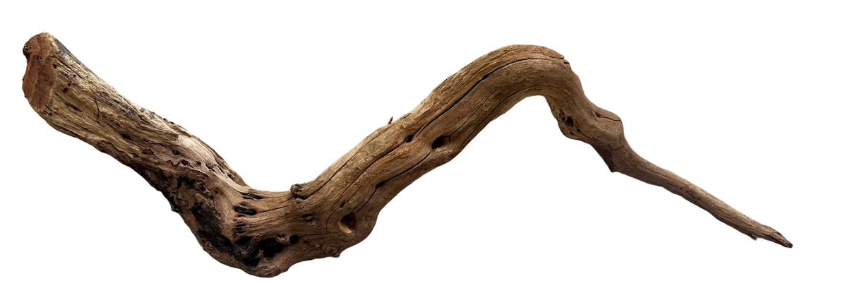 Malaysian Mangrove Wood