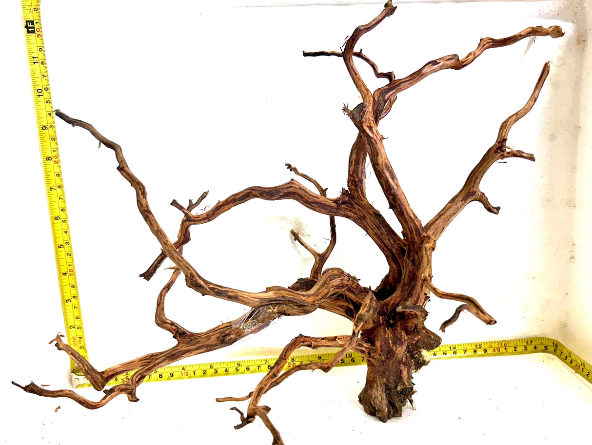 Red Moor Spider Driftwood | Substrates & Hardscape | Largest Tropical Fish Selection at Your Local Fish Store