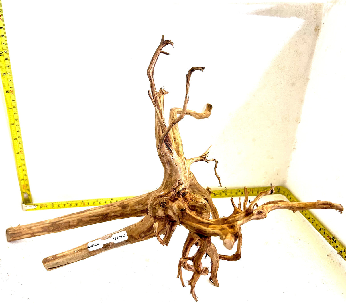 Red Moor Spider Driftwood | Substrates & Hardscape | Largest Tropical Fish Selection at Your Local Fish Store