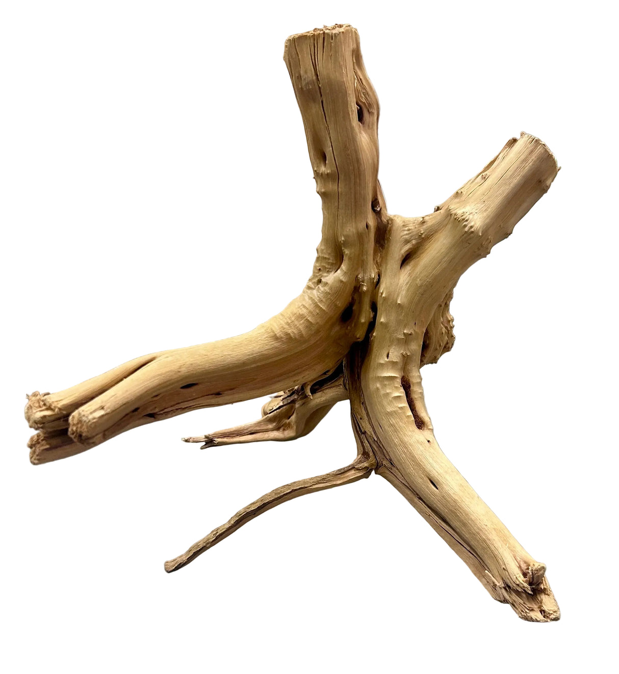 W.Y.S.I.W.Y.G.- 609 - Piece of Spiderwood | Substrates & Hardscape | Largest Tropical Fish Selection at Your Local Fish Store