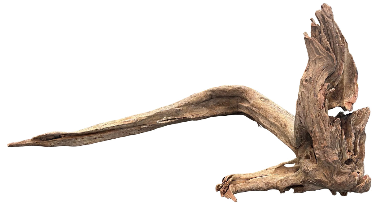 Malaysian Sinking Driftwood