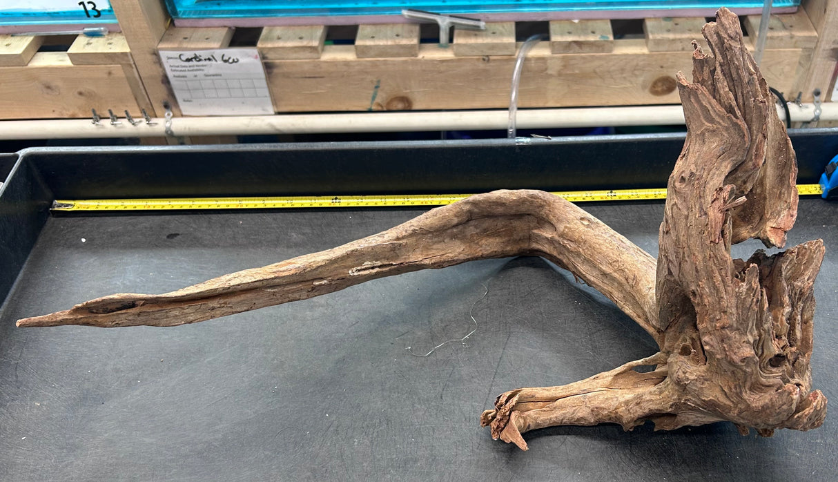 W.Y.S.I.W.Y.G.- 2001 - Malaysian Sinking Driftwood