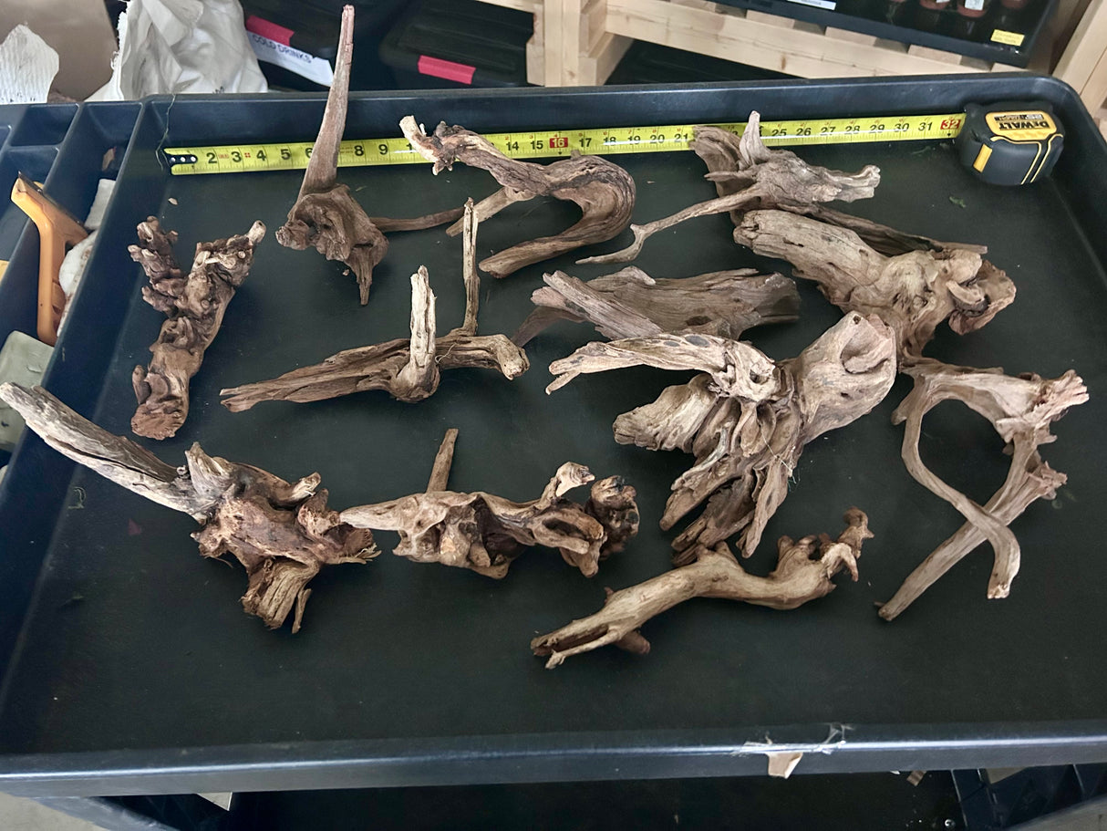 W.Y.S.I.W.Y.G.- 425 - Malaysian Mangrove Wood 12 pieces