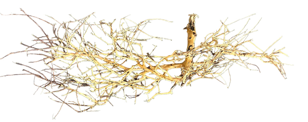 W.Y.S.I.W.Y.G.- 2007 - Thailand Branch Wood | Substrates & Hardscape | Largest Tropical Fish Selection at Your Local Fish Store