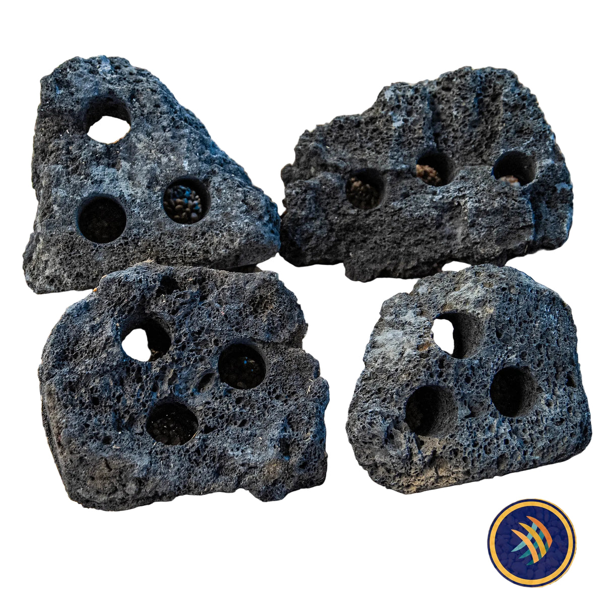 Black Lava Rock Drilled (per piece) | Substrates & Hardscape | Largest Tropical Fish Selection at Your Local Fish Store