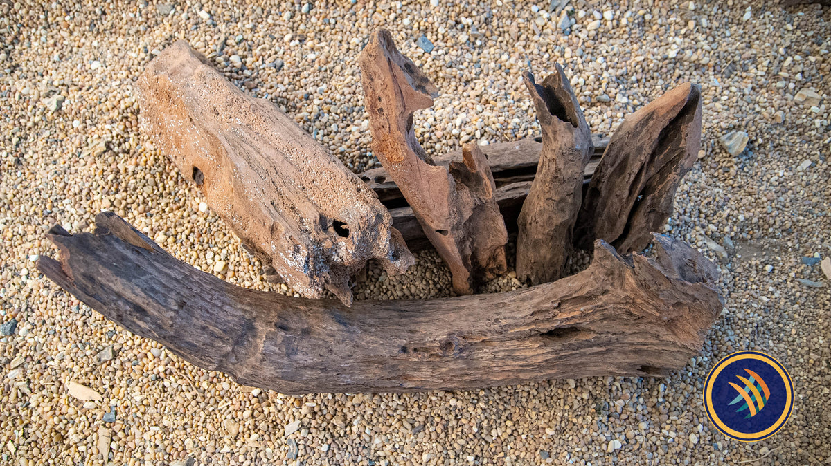 Texture Driftwood | Substrates & Hardscape | Largest Tropical Fish Selection at Your Local Fish Store