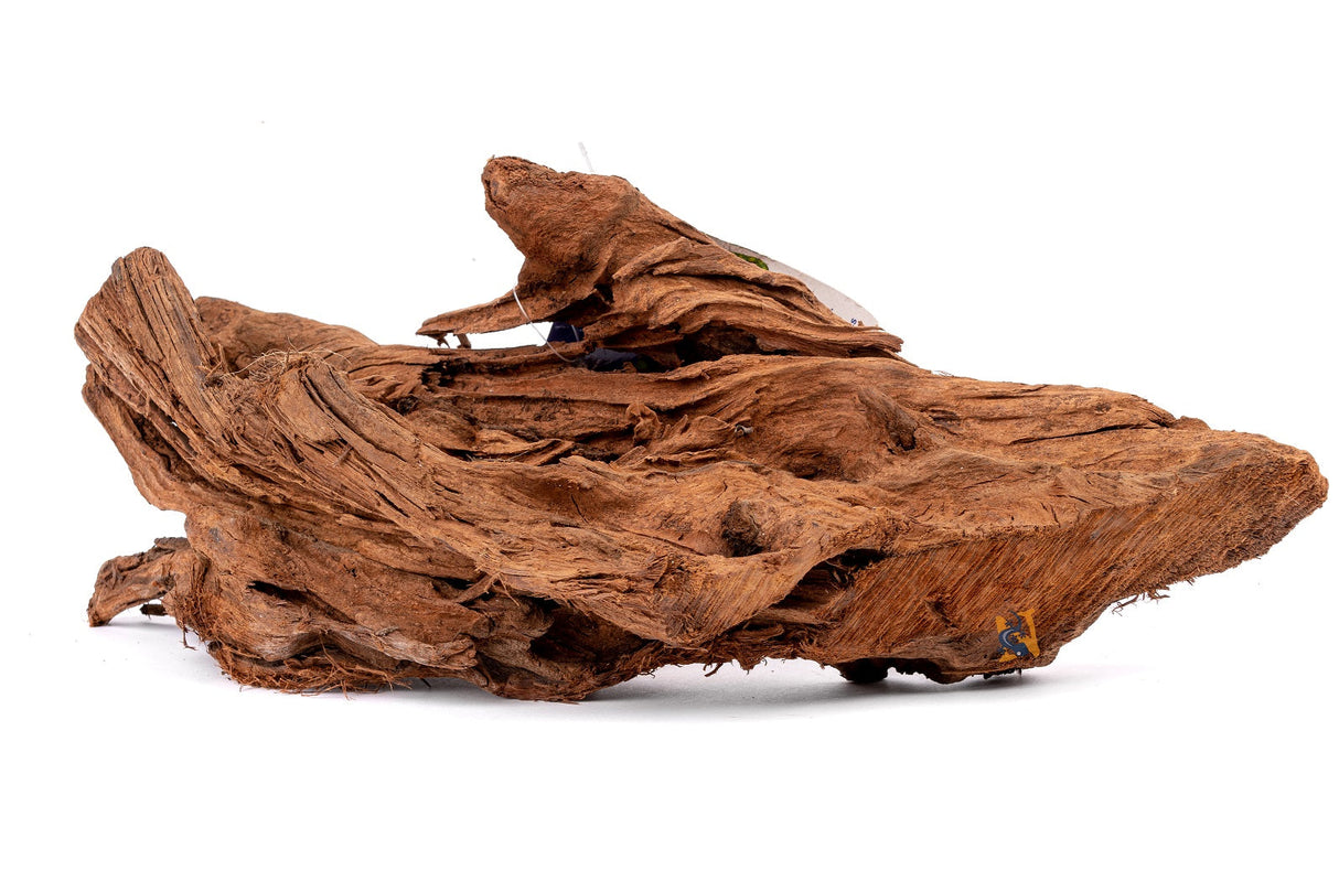 Malaysian Sinking Driftwood | Substrates & Hardscape | Largest Tropical Fish Selection at Your Local Fish Store