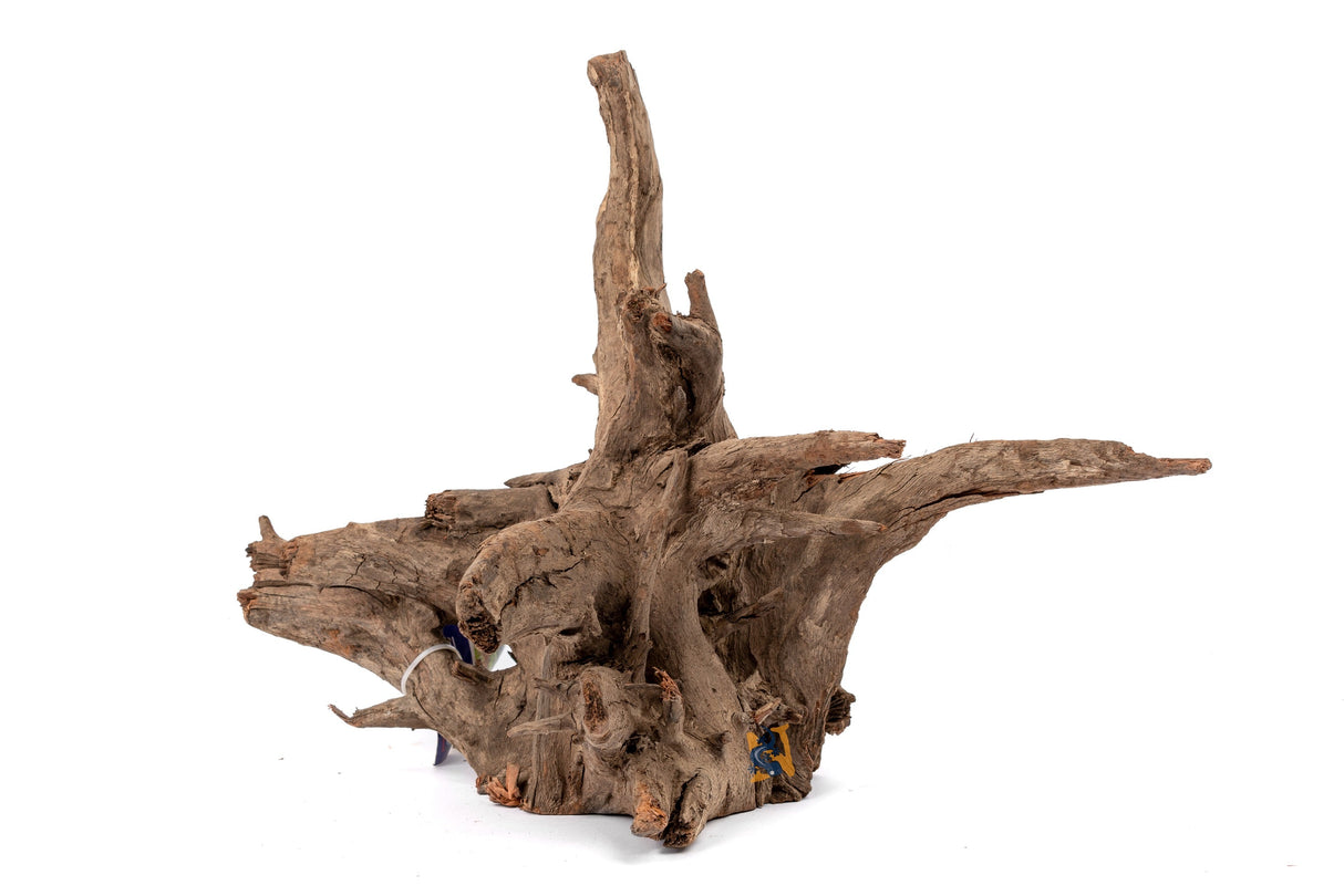 Aquaglobe Saba Wood | Substrates & Hardscape | Largest Tropical Fish Selection at Your Local Fish Store