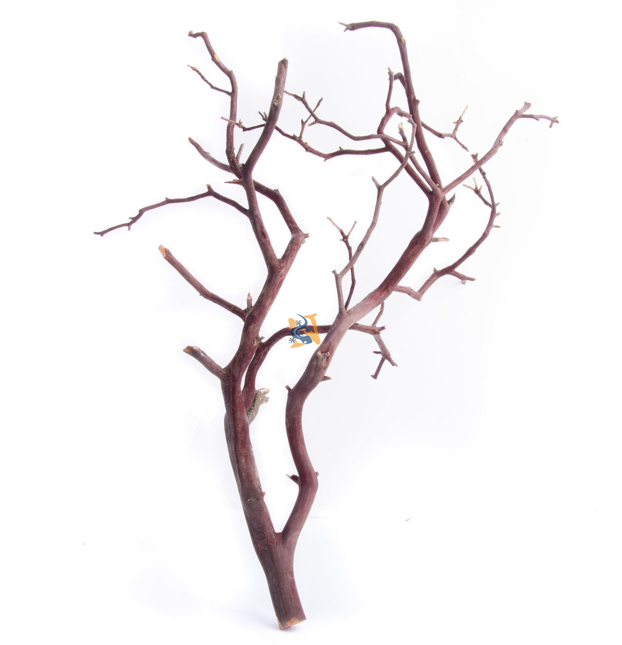 Aquaglobe Manzanita Branches | Substrates & Hardscape | Largest Tropical Fish Selection at Your Local Fish Store