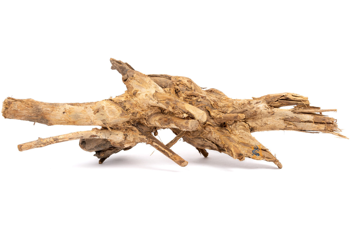 AquaGlobe Congo Wood | Substrates & Hardscape | Largest Tropical Fish Selection at Your Local Fish Store