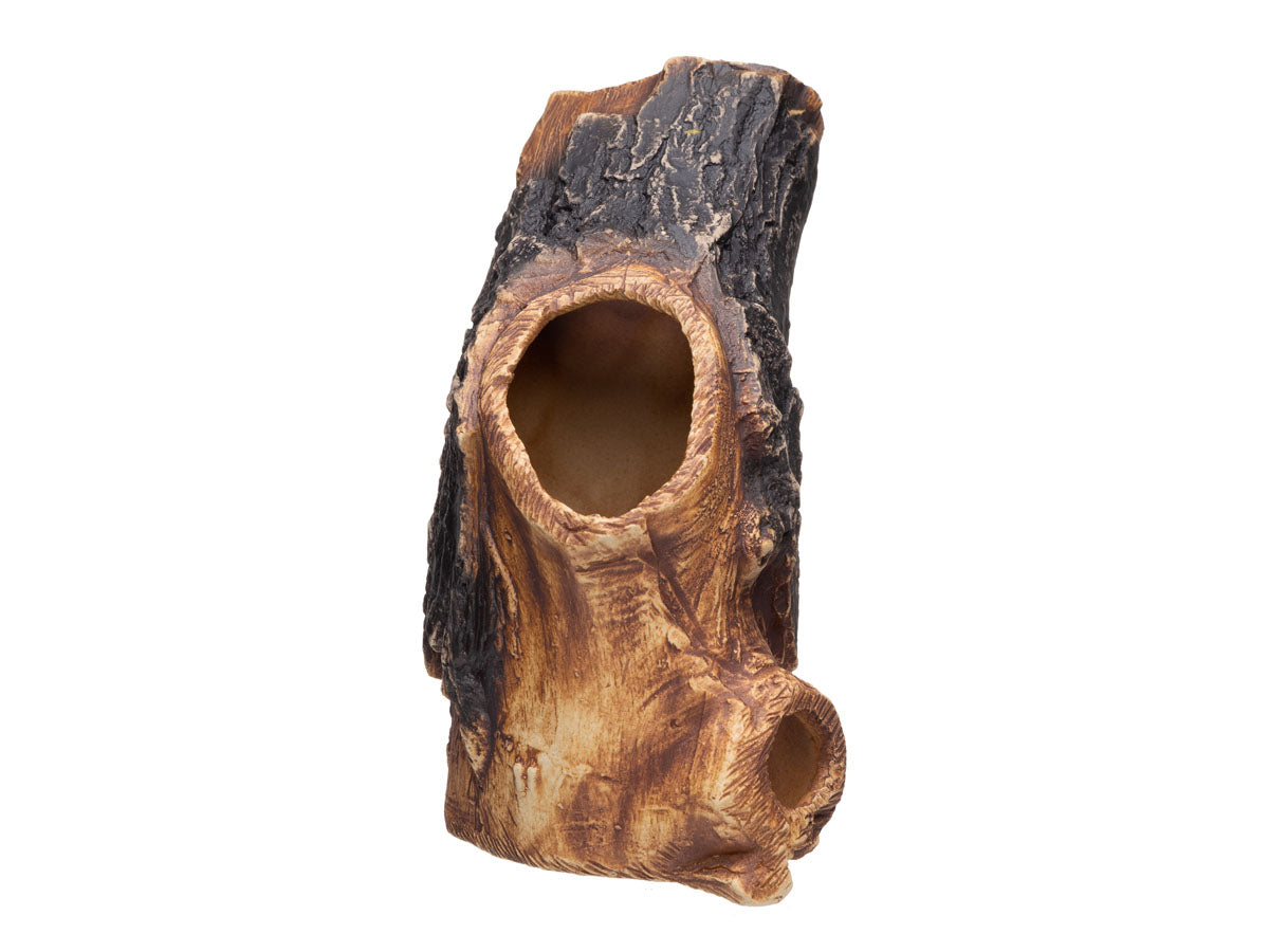 Pleco Ceramics Tree Lodge Fish Hideout | Decoration | Largest Tropical Fish Selection at Your Local Fish Store