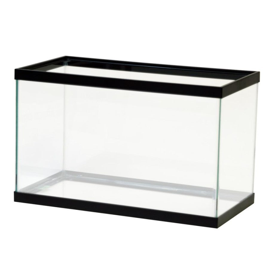 Aqueon Glass Rimmed Aquariums / Tanks | Aquariums | Largest Tropical Fish Selection at Your Local Fish Store