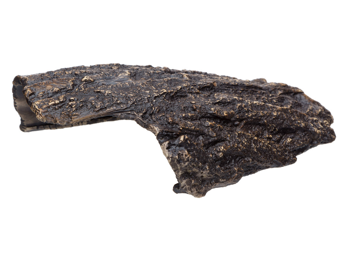 Pleco Ceramics - Aquarium Cave | Decoration | Largest Tropical Fish Selection at Your Local Fish Store