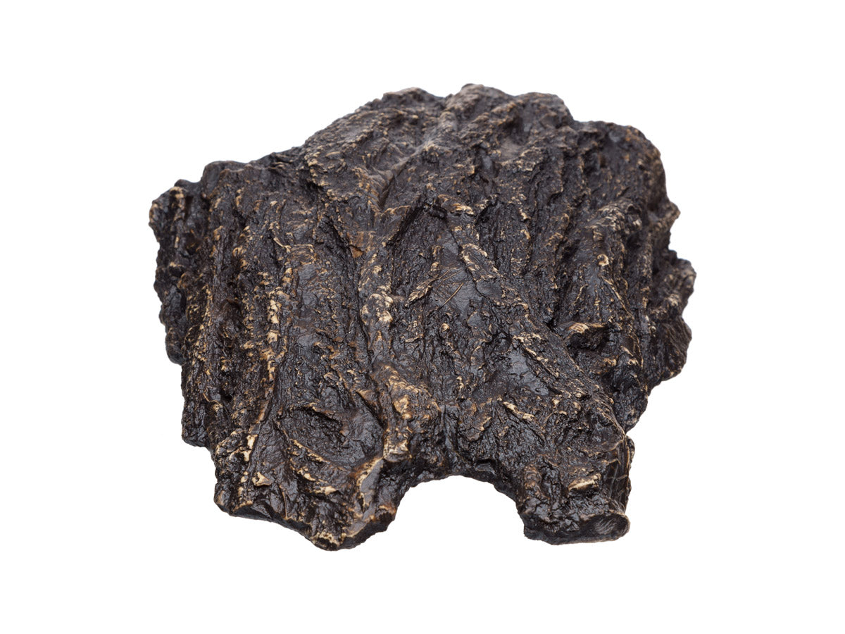 Pleco Ceramics - Aquarium Cave | Decoration | Largest Tropical Fish Selection at Your Local Fish Store