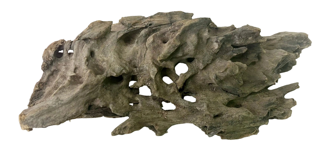 Texture / Shrimp Driftwood