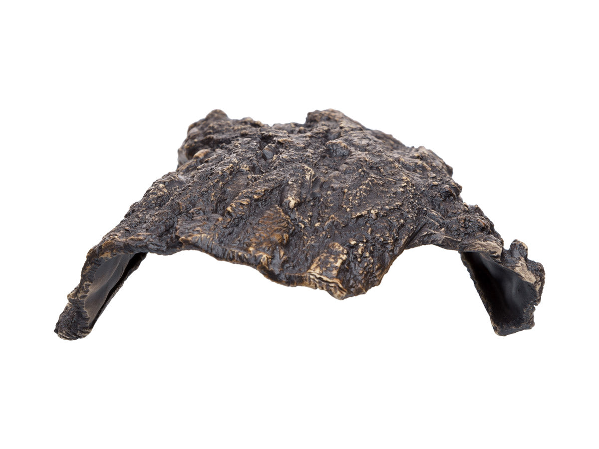 Pleco Ceramics - Aquarium Cave | Decoration | Largest Tropical Fish Selection at Your Local Fish Store