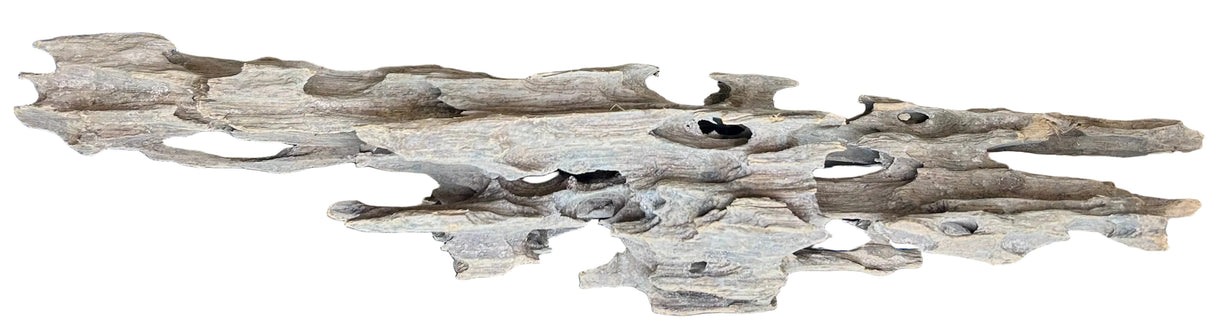 Texture / Shrimp Driftwood