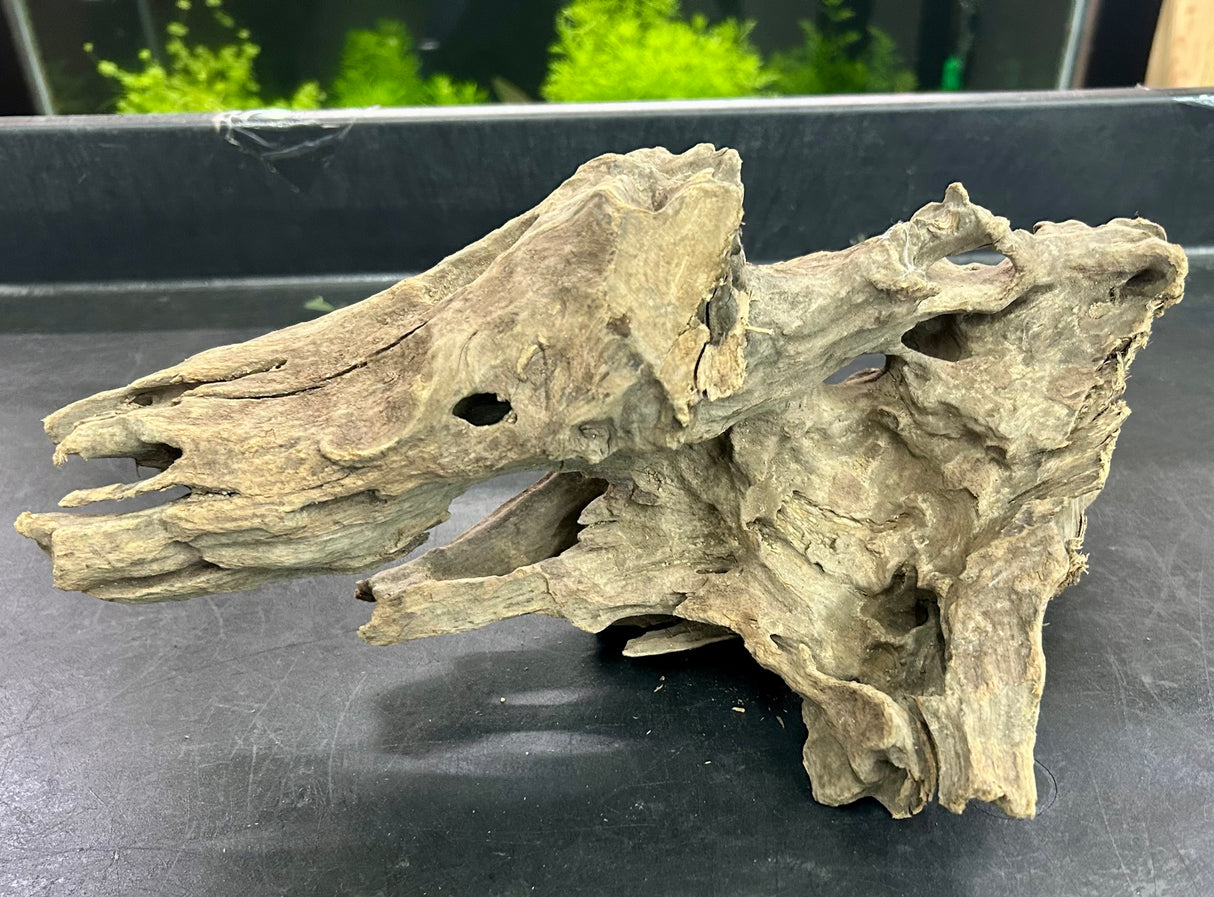 W.Y.S.I.W.Y.G.- 204 - Texture / Shrimp Driftwood