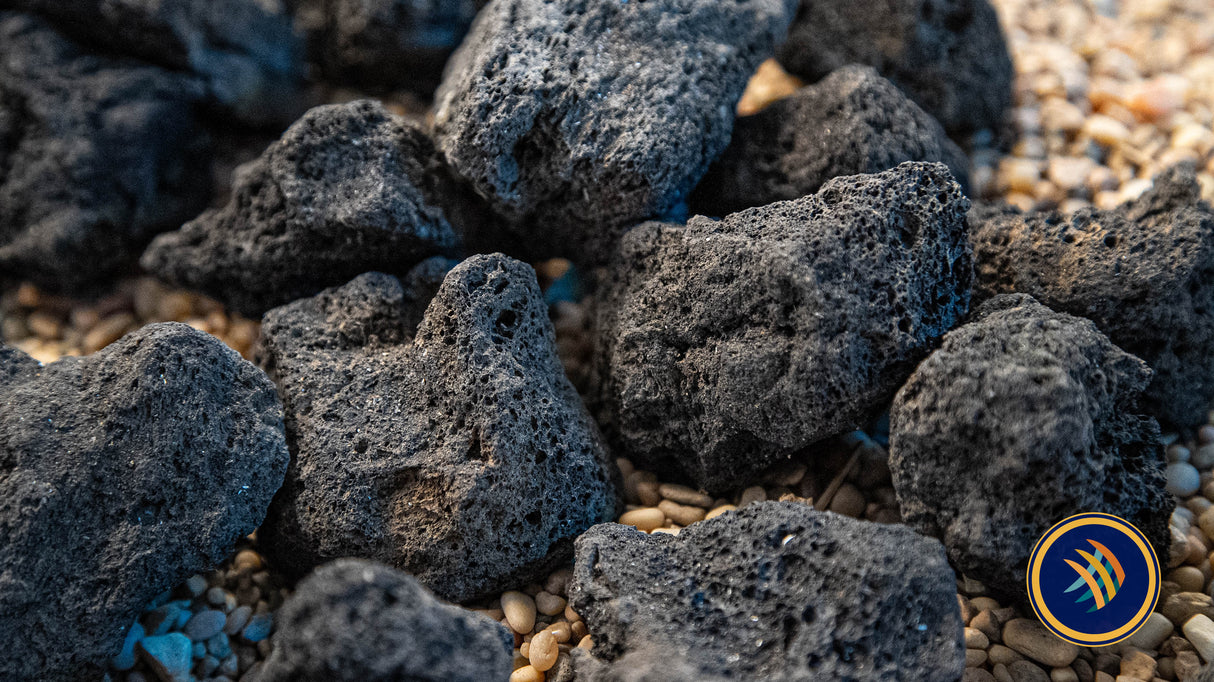 Black Lava Rock per LB (10cm-30cm) | Substrates & Hardscape | Largest Tropical Fish Selection at Your Local Fish Store