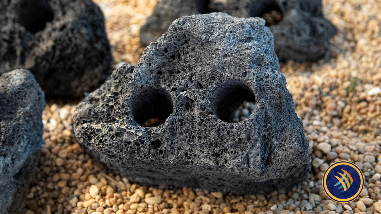 Black Lava Stone / Rock 2 hole