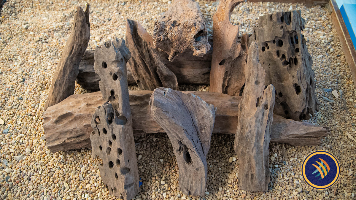 Texture Driftwood | Substrates & Hardscape | Largest Tropical Fish Selection at Your Local Fish Store