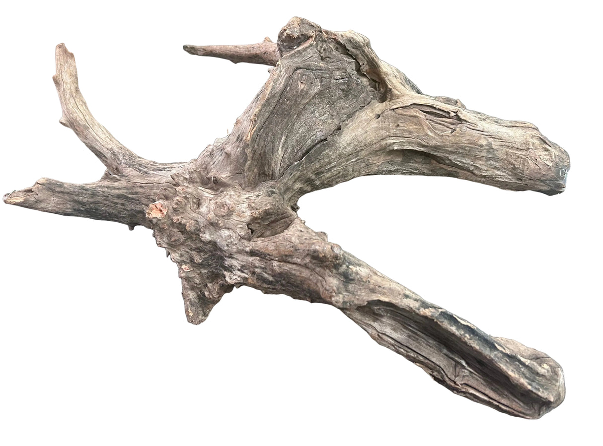 W.Y.S.I.W.Y.G.- 416 - Malaysian Mangrove Sinking Driftwood | Substrates & Hardscape | Largest Tropical Fish Selection at Your Local Fish Store