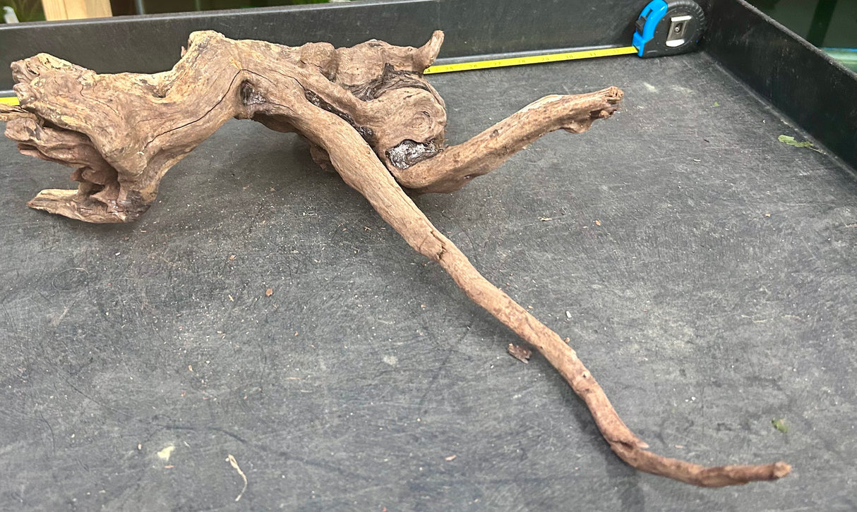 W.Y.S.I.W.Y.G.- 402 - Malaysian Mangrove Wood