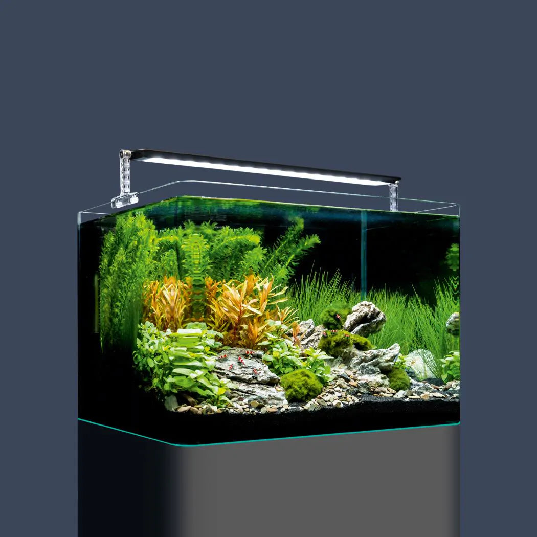 Dennerle Nano Tank Plant Pro complete Kit | Aquariums | Largest Tropical Fish Selection at Your Local Fish Store