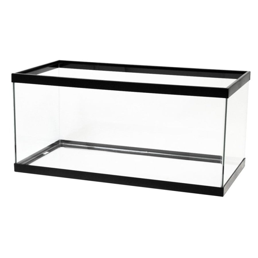 Aqueon Glass Rimmed Aquariums / Tanks | Aquariums | Largest Tropical Fish Selection at Your Local Fish Store