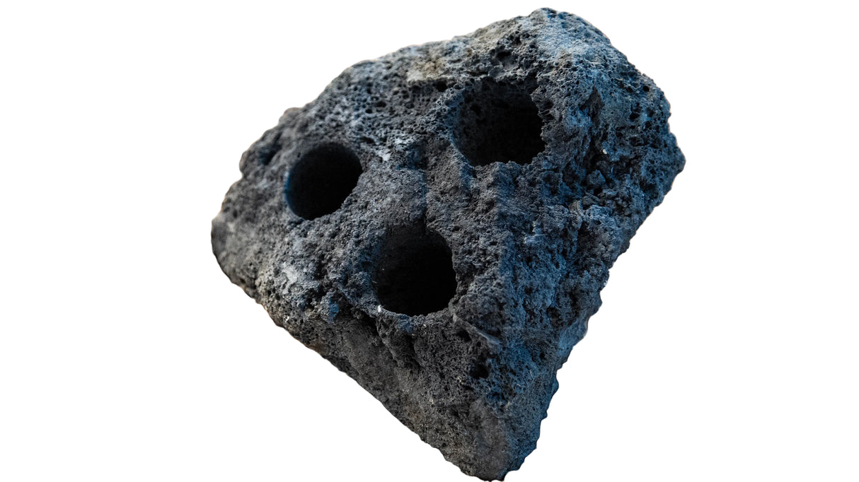 Black Lava Rock Drilled (per piece) | Substrates & Hardscape | Largest Tropical Fish Selection at Your Local Fish Store