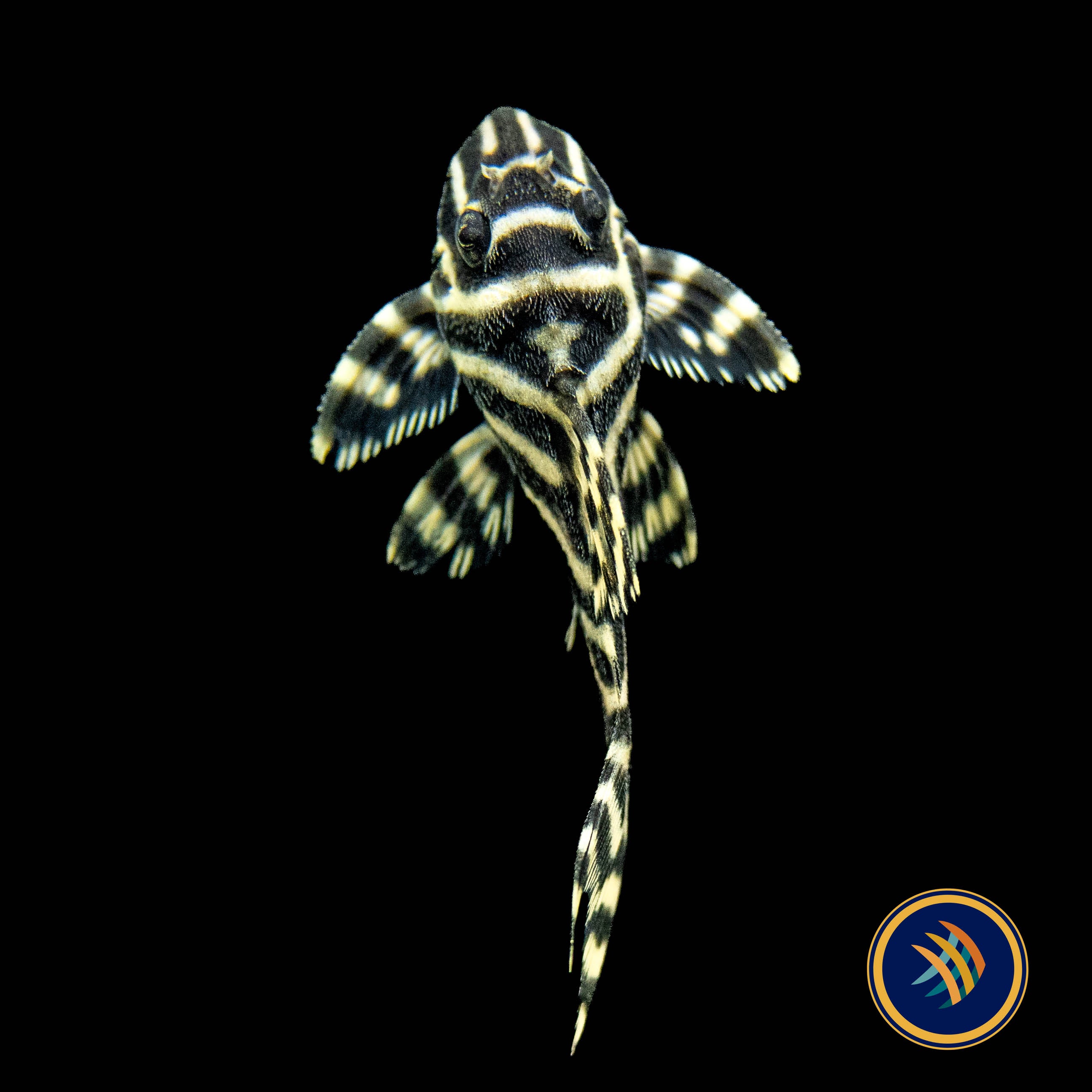 【halcari】 OccuNomix | Engineered Tough Safety Gear - Miracool