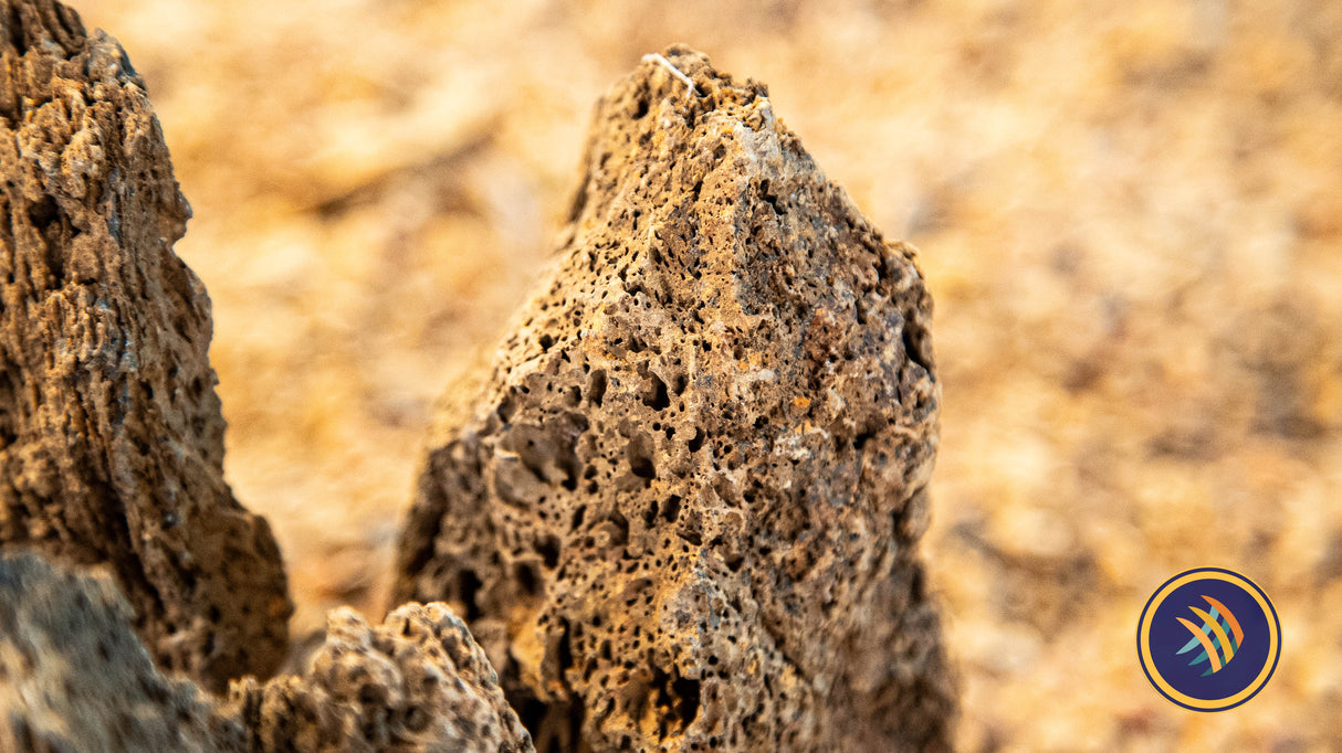 Pimple Stone / Rock per LB | Substrates & Hardscape | Largest Tropical Fish Selection at Your Local Fish Store