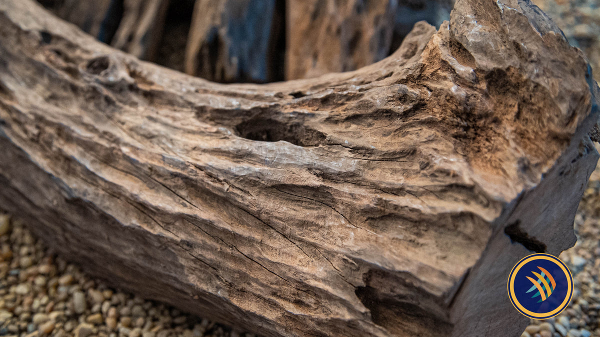 Texture Driftwood | Substrates & Hardscape | Largest Tropical Fish Selection at Your Local Fish Store