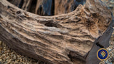 Texture Driftwood