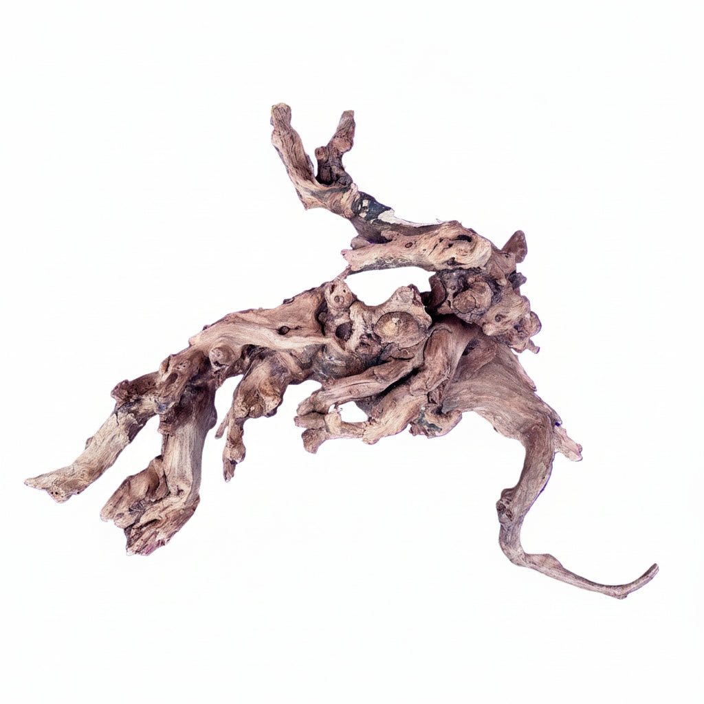 Malaysian Sinking Driftwood | Substrates & Hardscape | Largest Tropical Fish Selection at Your Local Fish Store