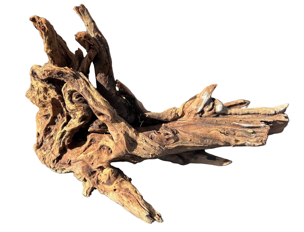 Malaysian Sinking Driftwood | Substrates & Hardscape | Largest Tropical Fish Selection at Your Local Fish Store