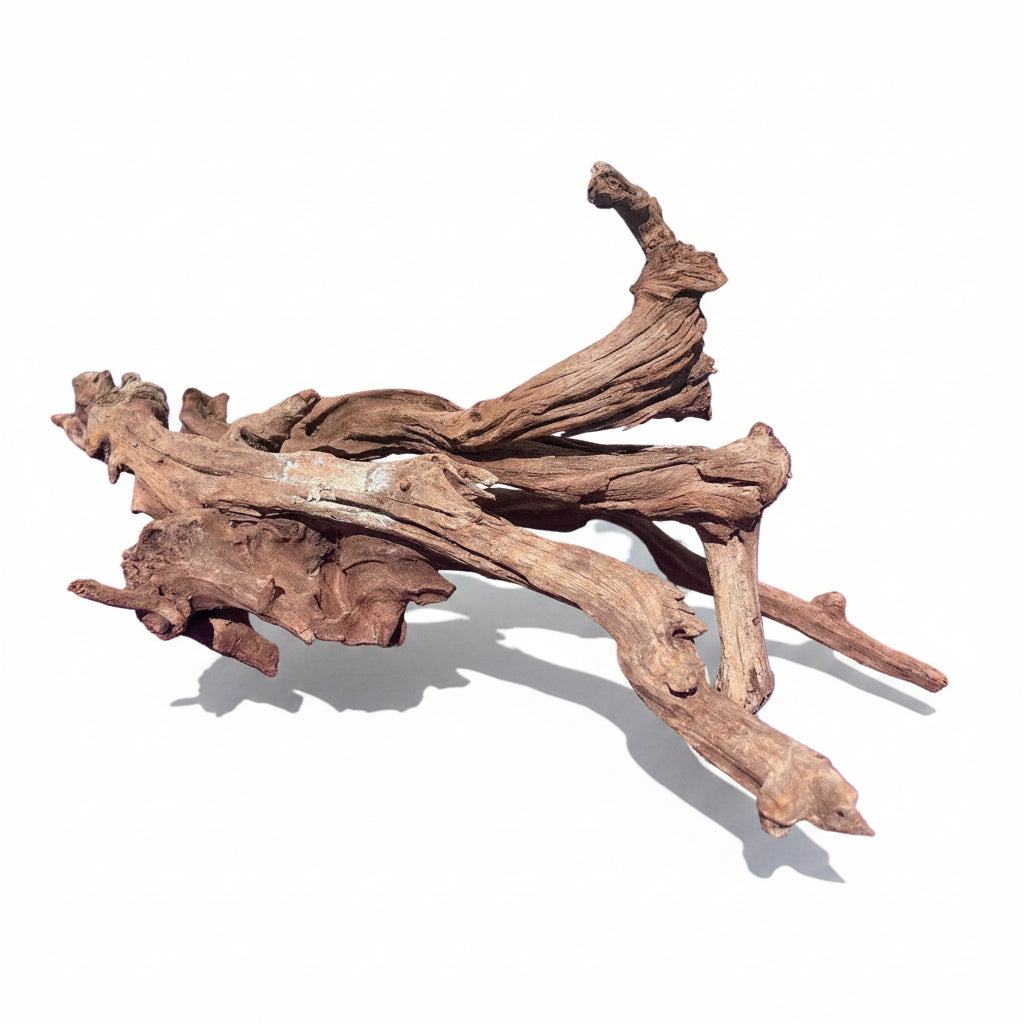 Malaysian Sinking Driftwood | Substrates & Hardscape | Largest Tropical Fish Selection at Your Local Fish Store