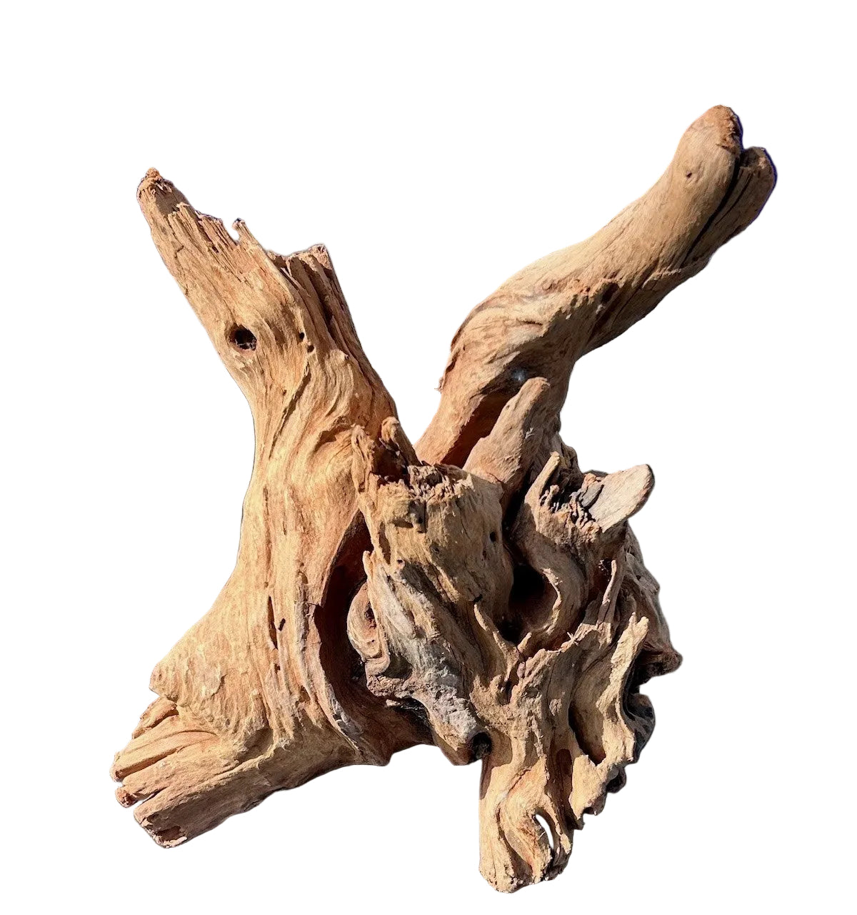 Malaysian Sinking Driftwood | Substrates & Hardscape | Largest Tropical Fish Selection at Your Local Fish Store