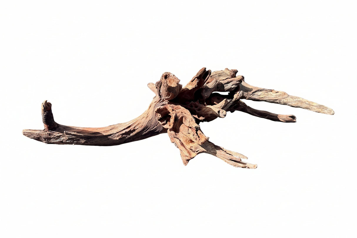 Malaysian Sinking Driftwood | Substrates & Hardscape | Largest Tropical Fish Selection at Your Local Fish Store