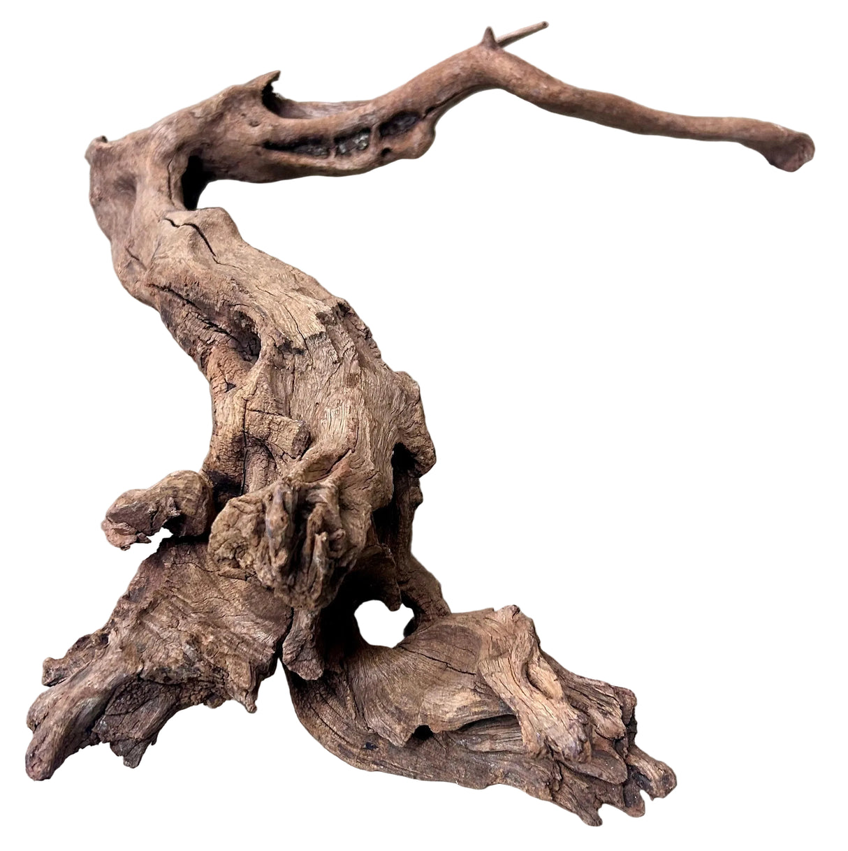Malaysian Mangrove Wood