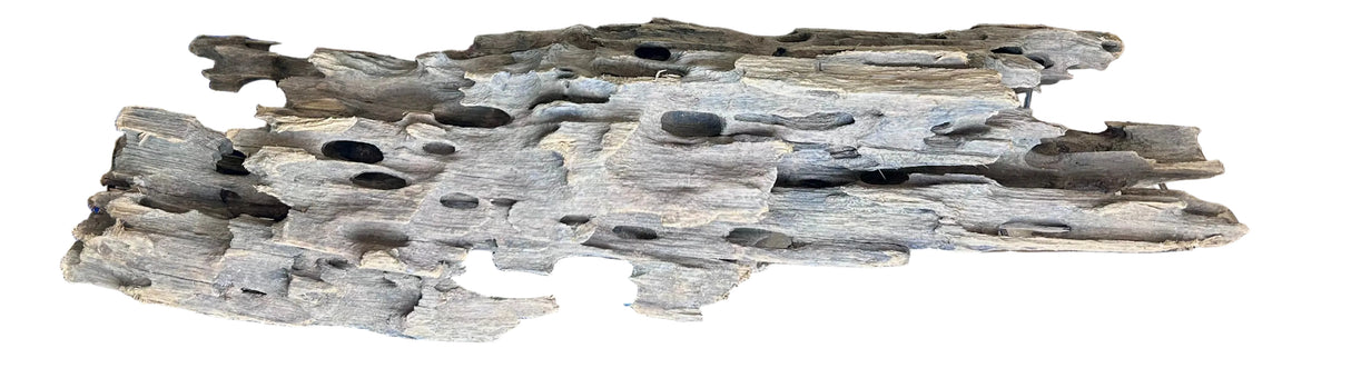 Texture / Shrimp Driftwood