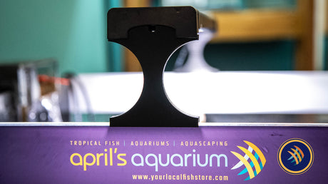 Light Riser - Aquarium Co-Op Easy LED (pack 2)