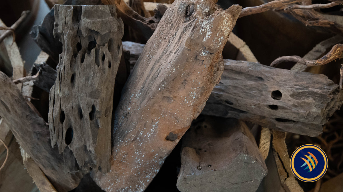 Texture Driftwood | Substrates & Hardscape | Largest Tropical Fish Selection at Your Local Fish Store