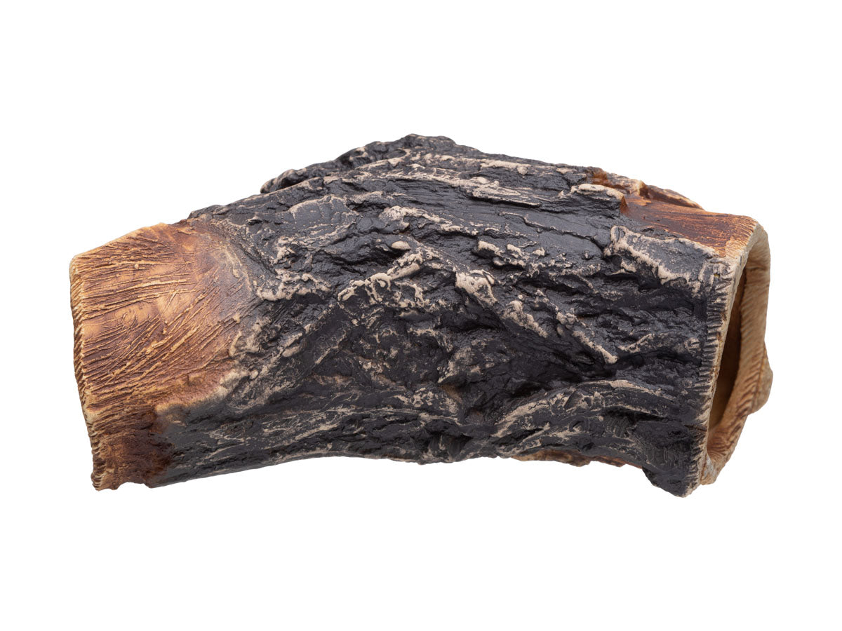 Pleco Ceramics Tree Lodge Fish Hideout | Decoration | Largest Tropical Fish Selection at Your Local Fish Store