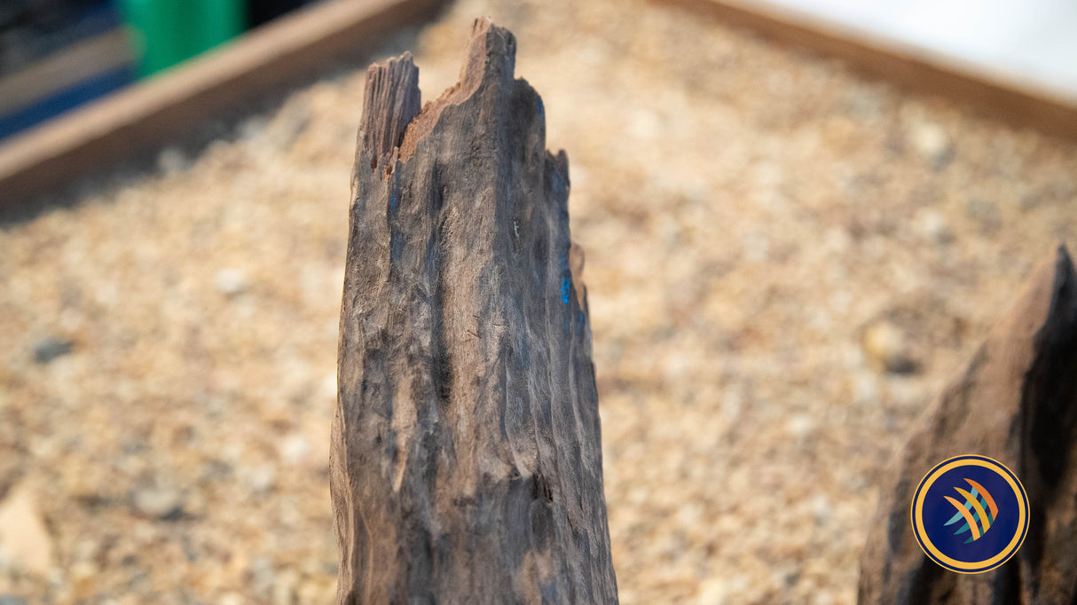 Texture Driftwood