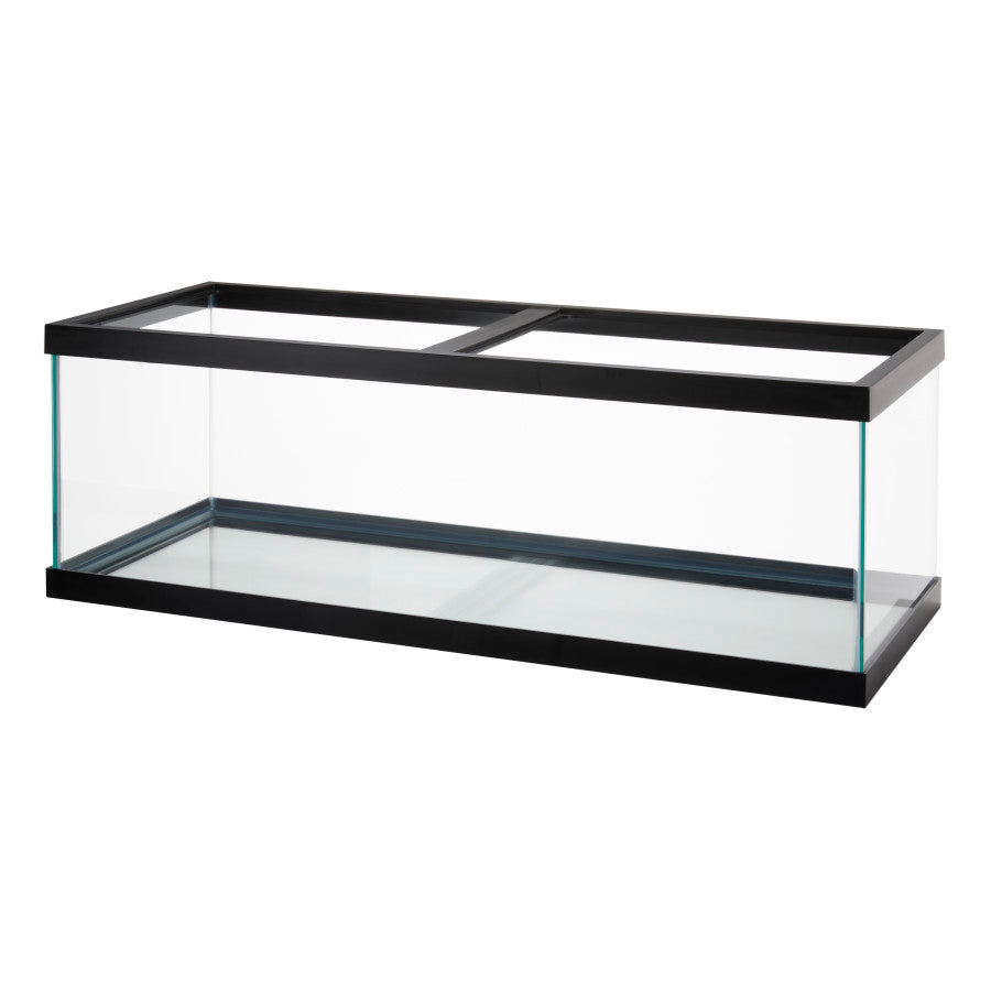 Aqueon Glass Rimmed Aquariums / Tanks | Aquariums | Largest Tropical Fish Selection at Your Local Fish Store